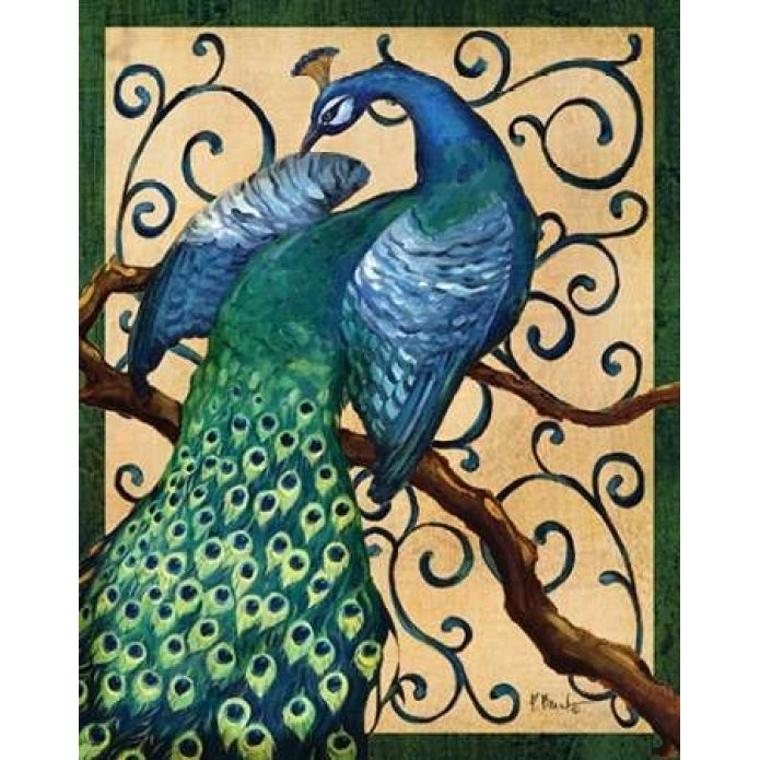 Majestic Peacock II Poster Print by Paul Brent-VARPDXBNT531 Image 2