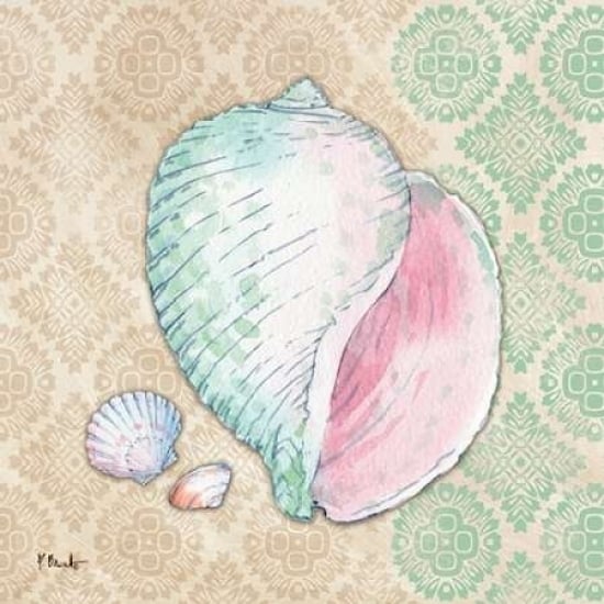 Serene Seashells II Poster Print by Paul Brent-VARPDXBNT686 Image 2