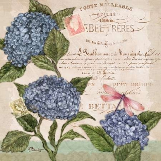 Parisian Hydrangeas I Poster Print by Paul Brent-VARPDXBNT729 Image 1