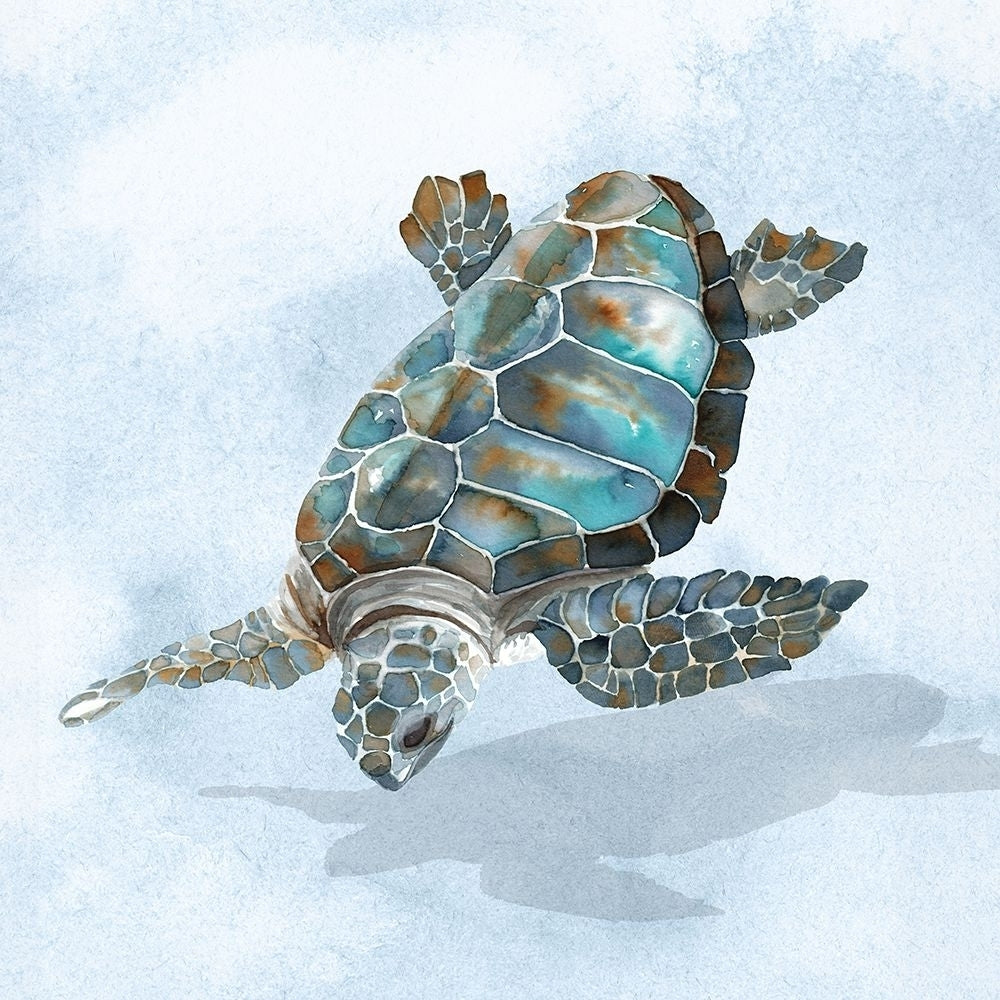 Blue Sea Turtle II Poster Print - And Slyp Errico-VARPDXBP036A Image 1