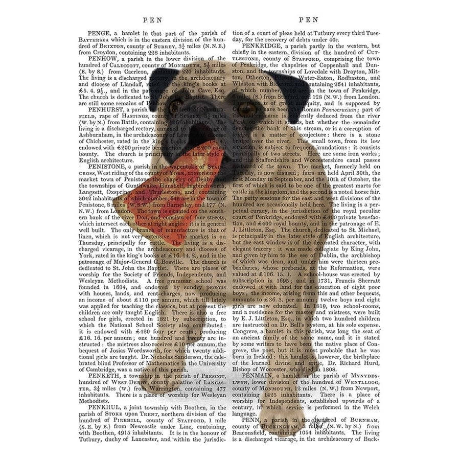 Pug Pizza 1 Book Print Poster Print - Funky Fab-VARPDXBP260527544 Image 1