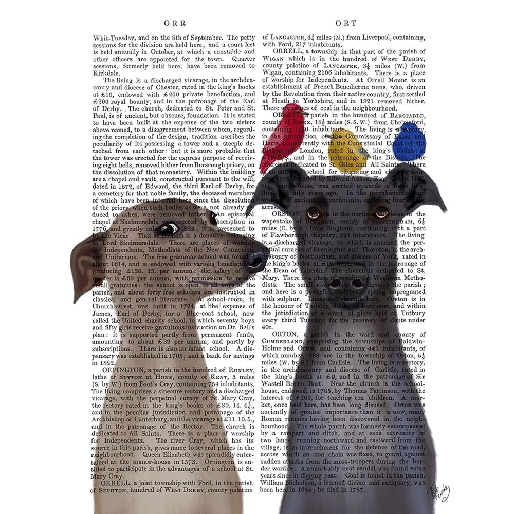 Greyhounds and Birds Book Print Poster Print - Funky Fab-VARPDXBP260527630 Image 1