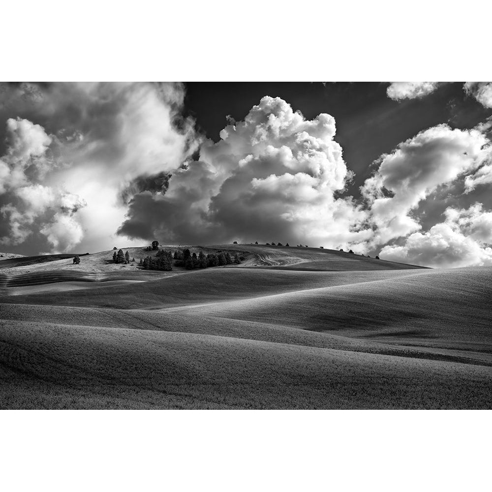 Palouse Bliss Poster Print - Berk-VARPDXBQ064A Image 1