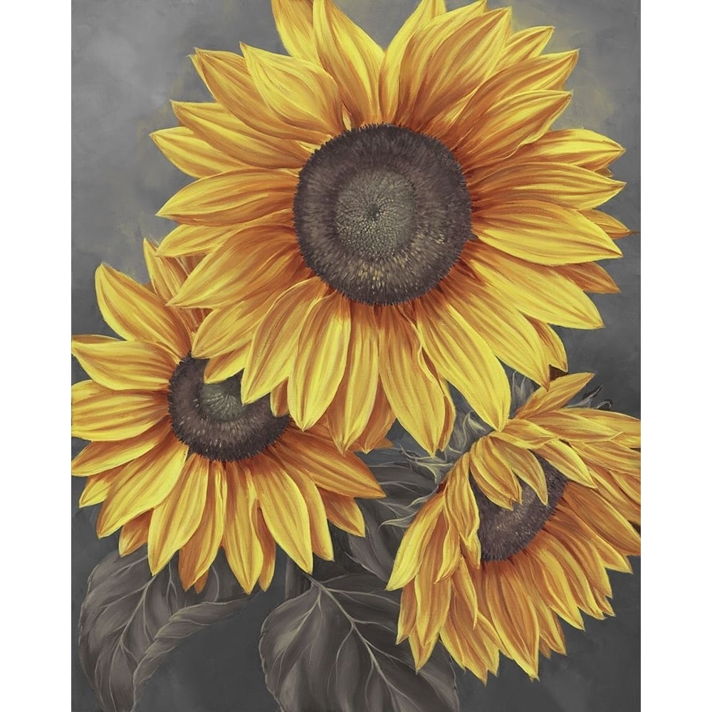 We are the sun I Poster Print - Marianne Broome-VARPDXBR034A Image 1