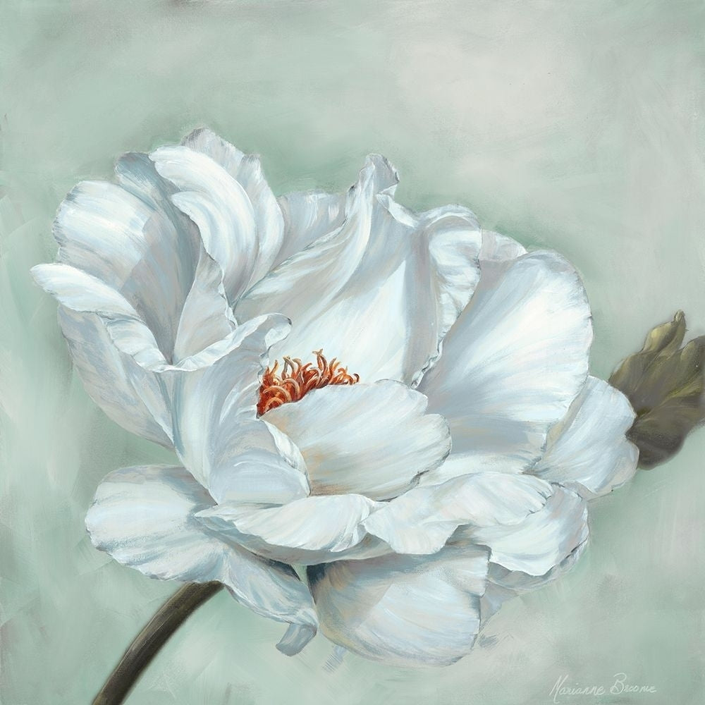 Precious Peony I Poster Print by Marianne Broome-VARPDXBR059A Image 1