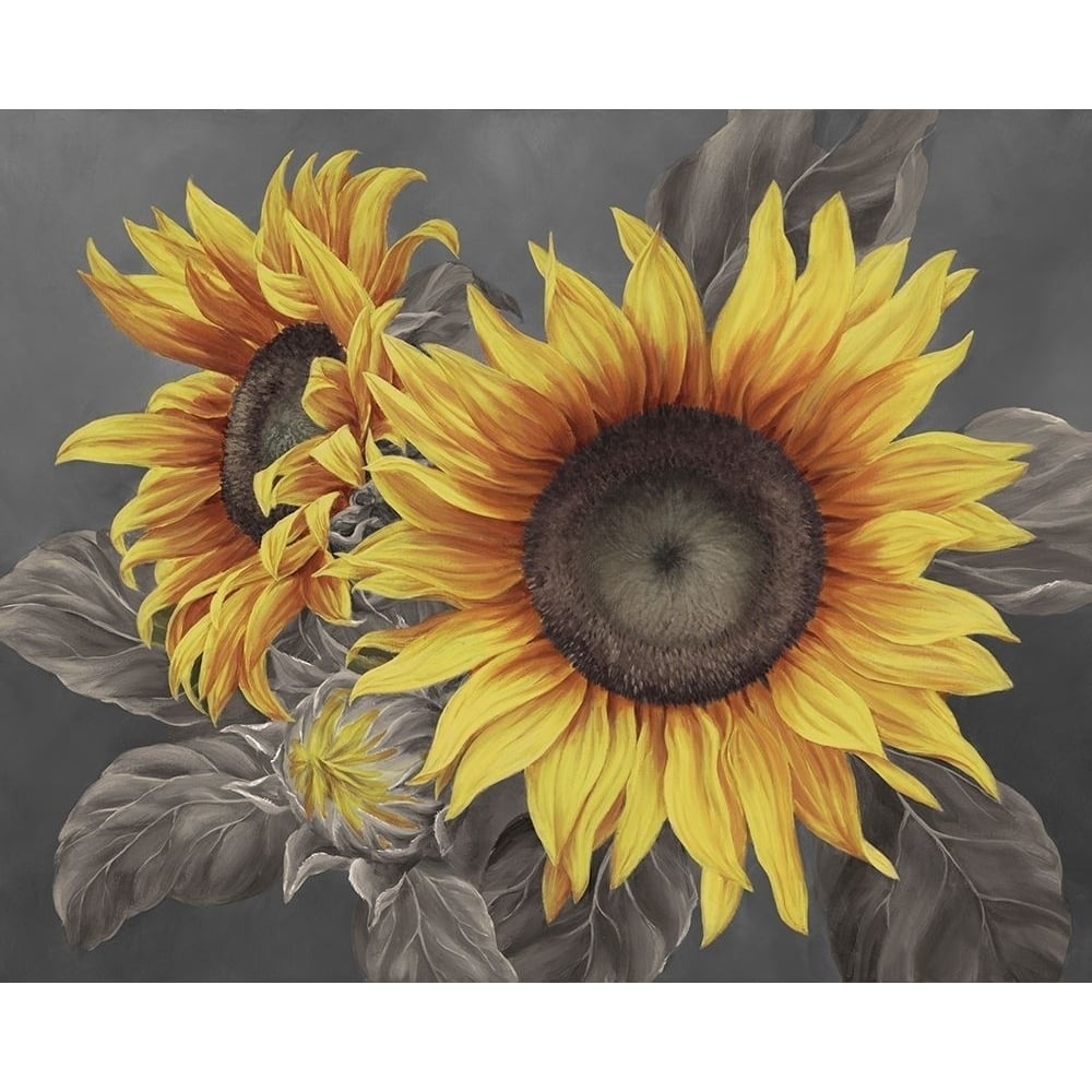 We are the sun III Poster Print by Marianne Broome-VARPDXBR036A Image 1