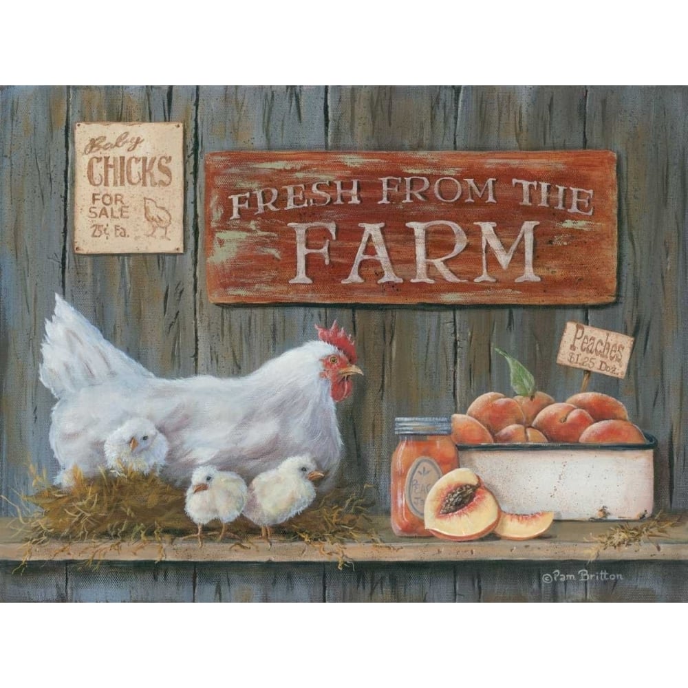 Fresh from the Farm Poster Print by Pam Britton-VARPDXBR389 Image 1