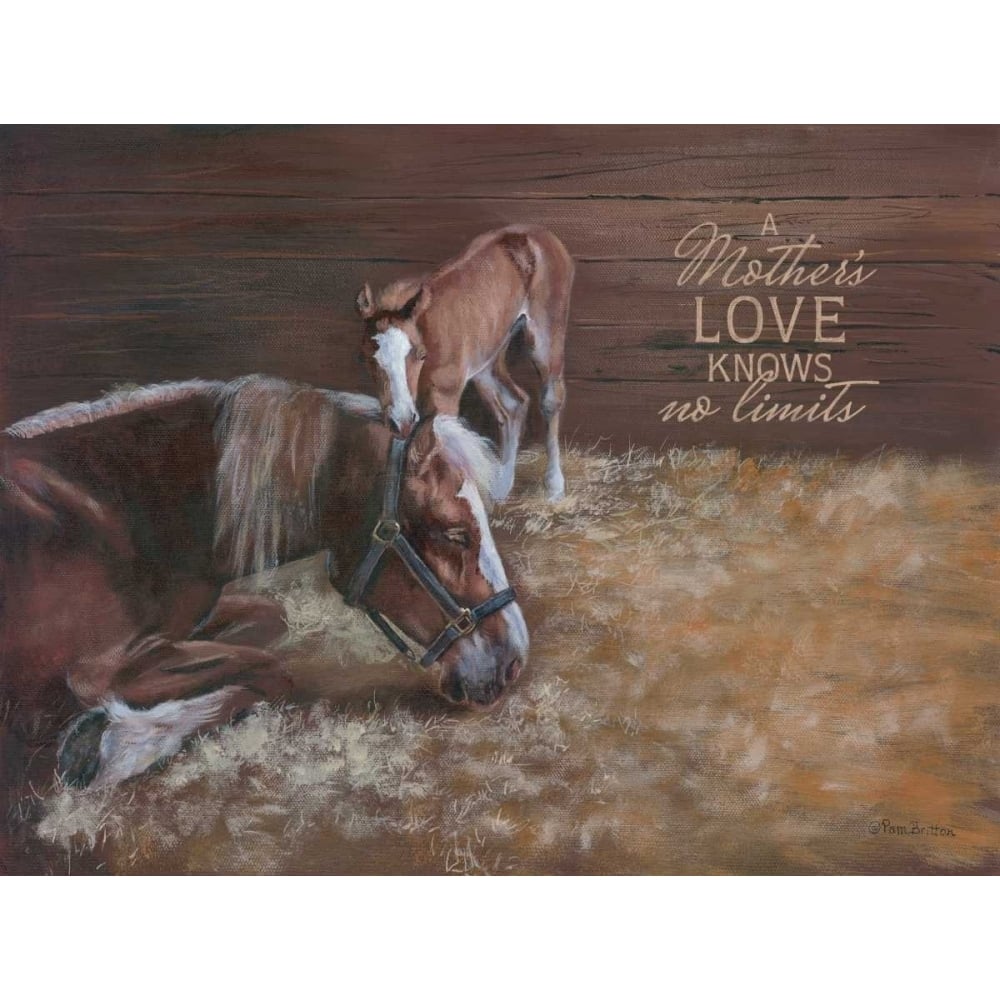 A Mothers Love Poster Print by Pam Britton-VARPDXBR390 Image 1