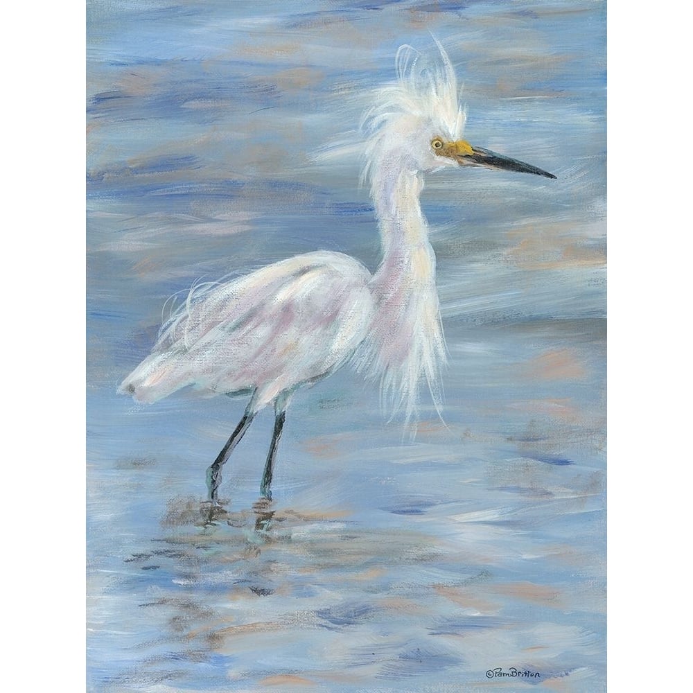 Egret by Pam Britton-VARPDXBR508 Image 1