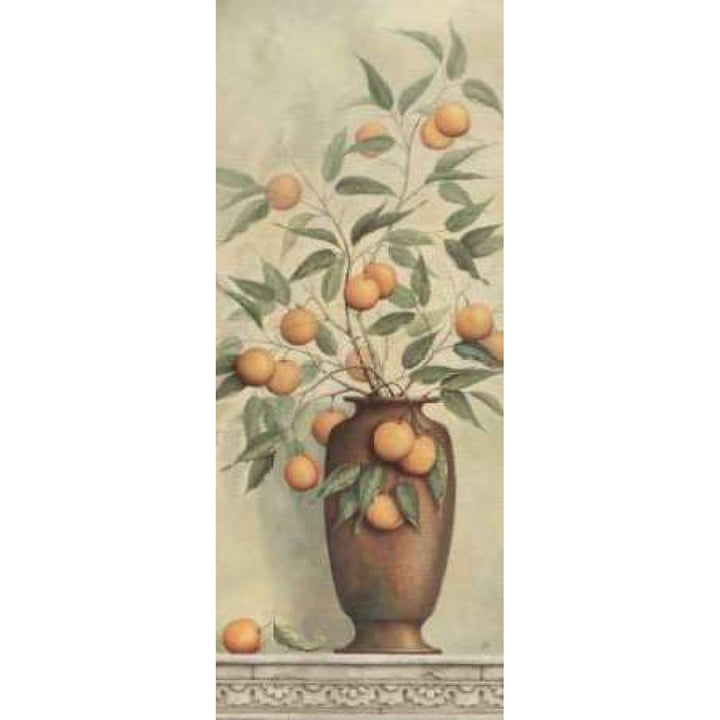 Apricotier Poster Print by Daphne Brissonnet-VARPDXBRI022 Image 1