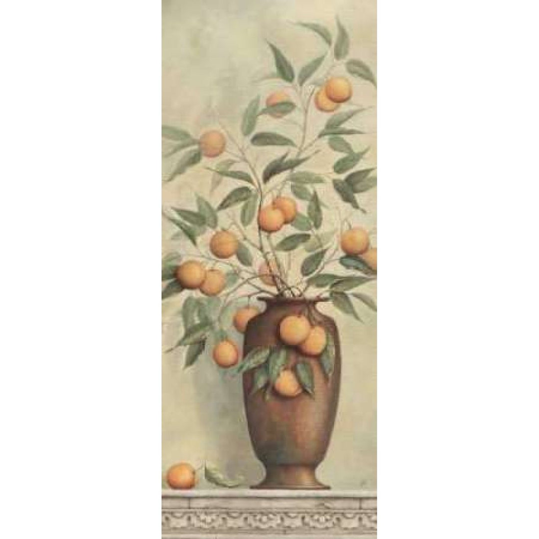 Apricotier Poster Print by Daphne Brissonnet-VARPDXBRI022 Image 1