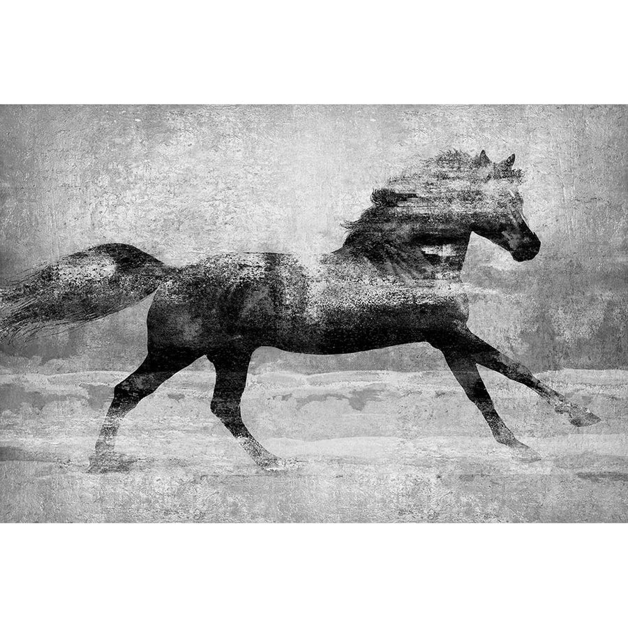 Running Horse Silver Poster Print - Madeline Blake-VARPDXBY118203 Image 1