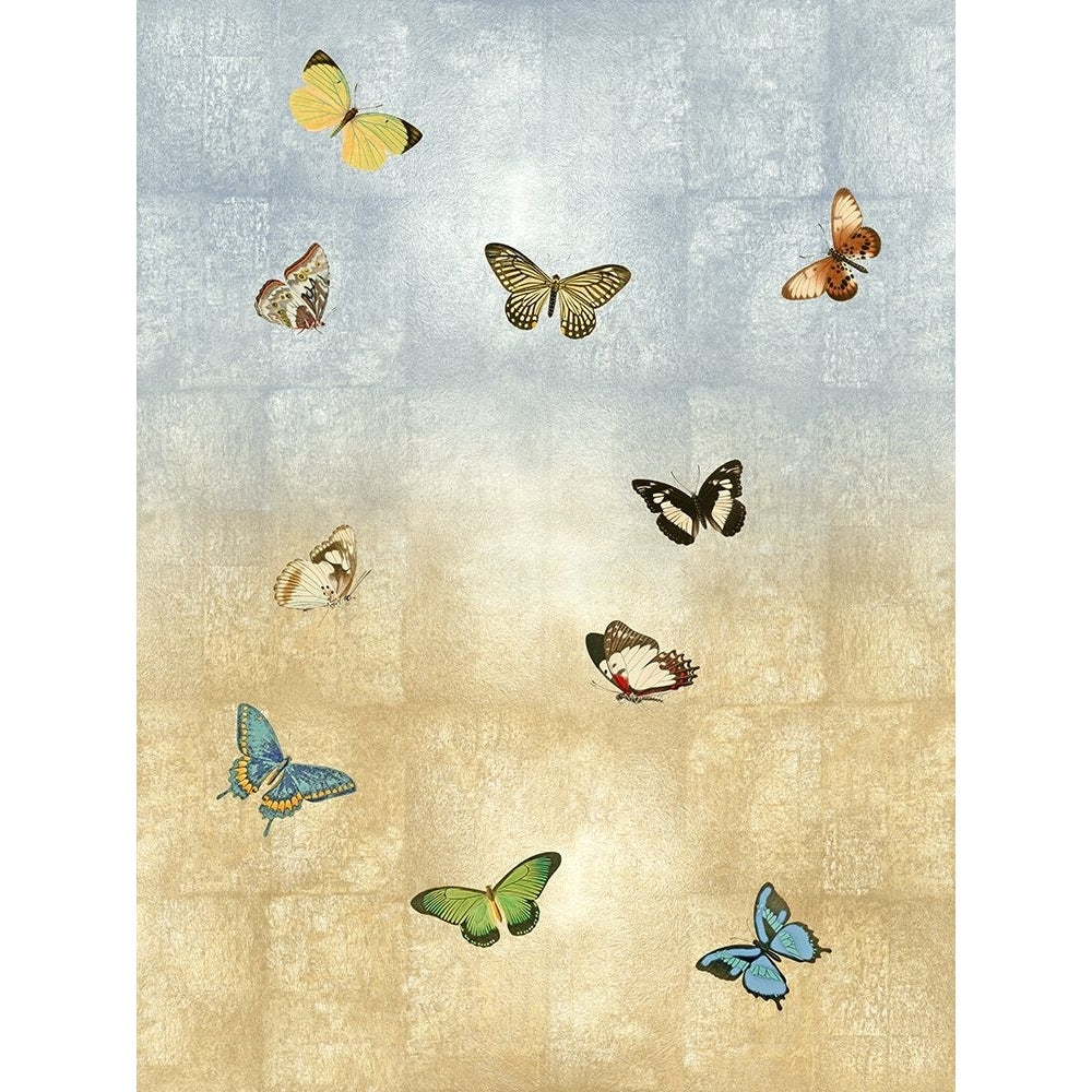 Butterflies Meet Up II Poster Print - Madeline Blake-VARPDXBY118226 Image 1