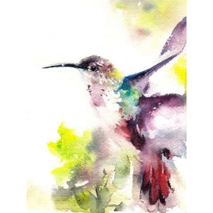 Hummingbird Poster Print by CanotStop-VARPDXC1088D Image 2