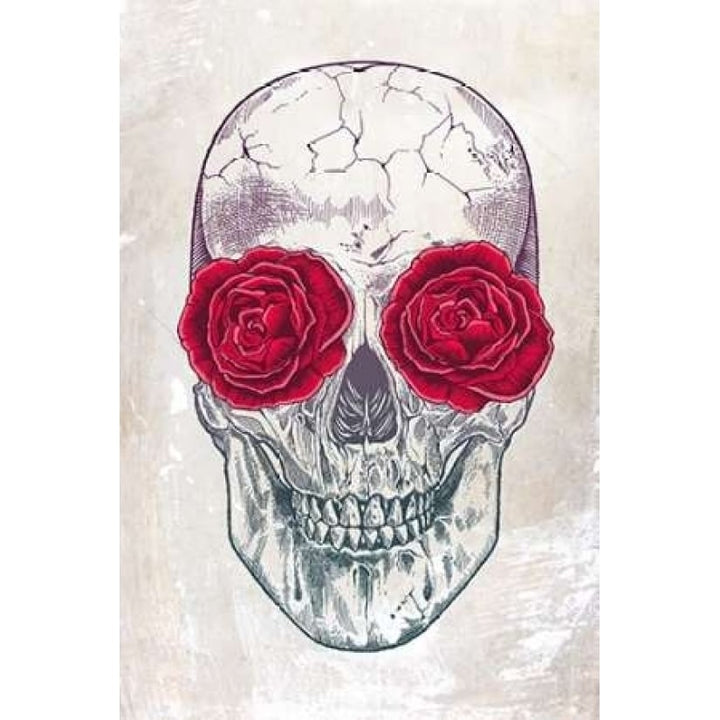 Skull and Roses Poster Print by Rachel Caldwell-VARPDXC1156D Image 1