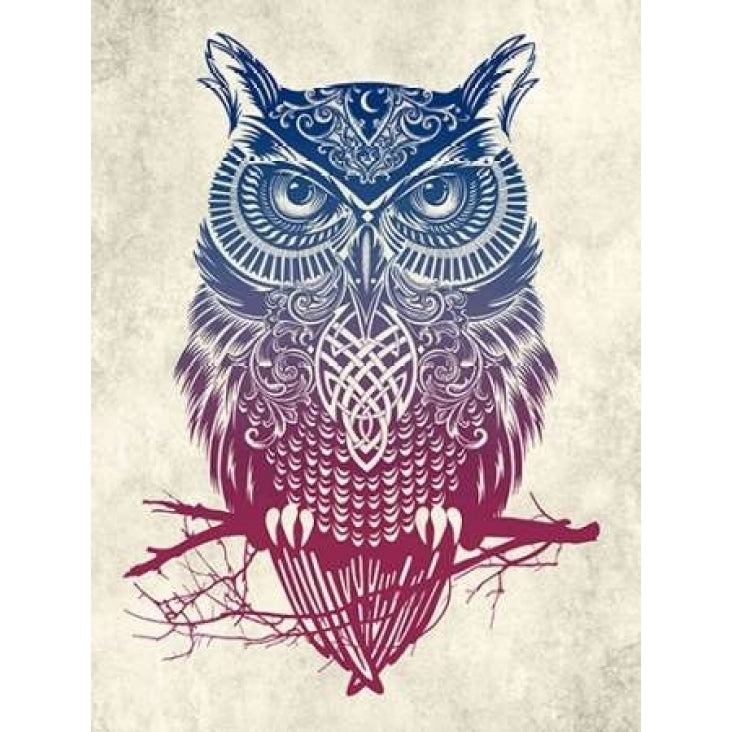 Warrior Owl Poster Print by Rachel Caldwell-VARPDXC1157D Image 1