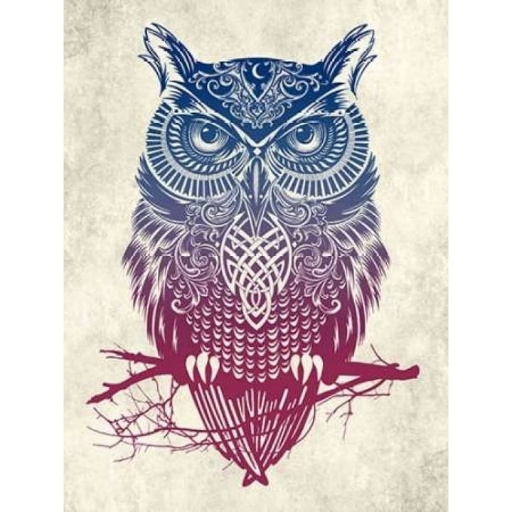 Warrior Owl Poster Print by Rachel Caldwell-VARPDXC1157D Image 1