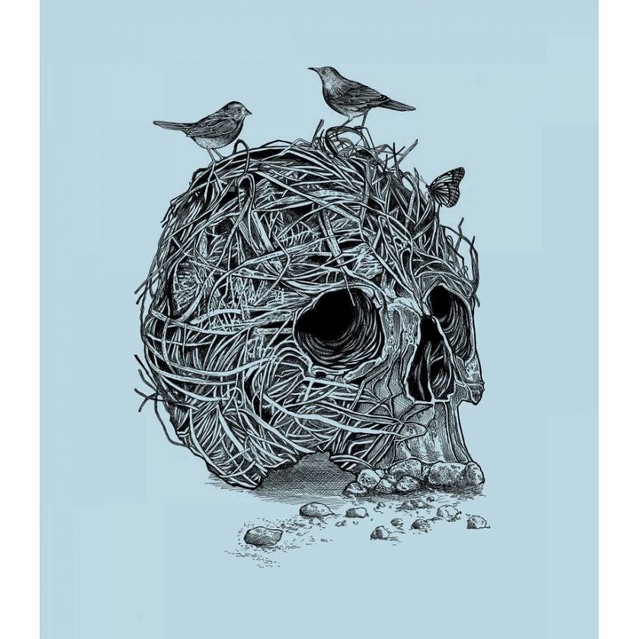 Skull Nest Poster Print by Rachel Caldwell-VARPDXC1171D Image 1