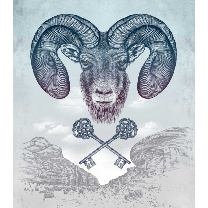 Ram Poster Print by Rachel Caldwell-VARPDXC1172D Image 1