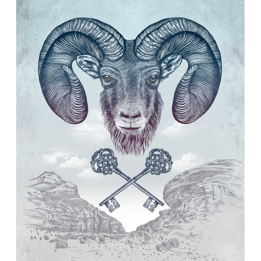 Ram Poster Print by Rachel Caldwell-VARPDXC1172D Image 2