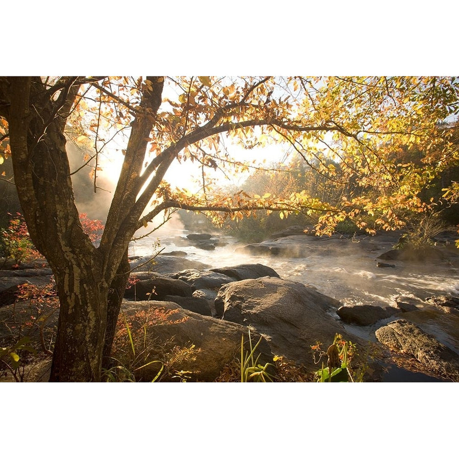 Georgia Fall Poster Print - Karin Connolly-VARPDXC1407D Image 1