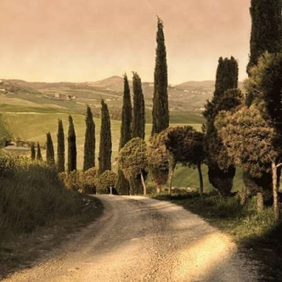 Country Lane Tuscany Poster Print by Elizabeth Carmel-VARPDXC534D Image 1