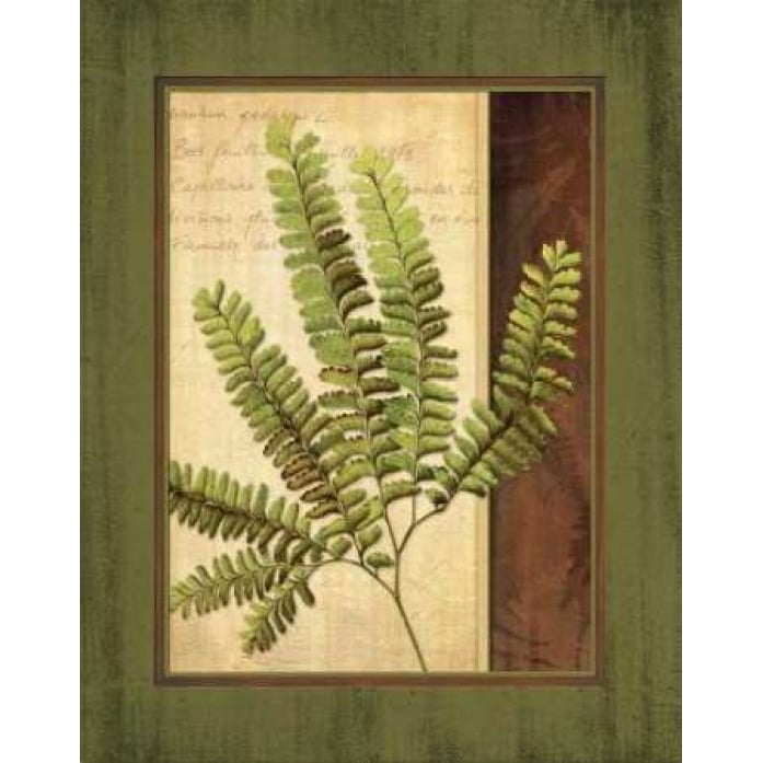 Fern Grotto II Poster Print by Delphine Corbin-VARPDXCBN027 Image 2