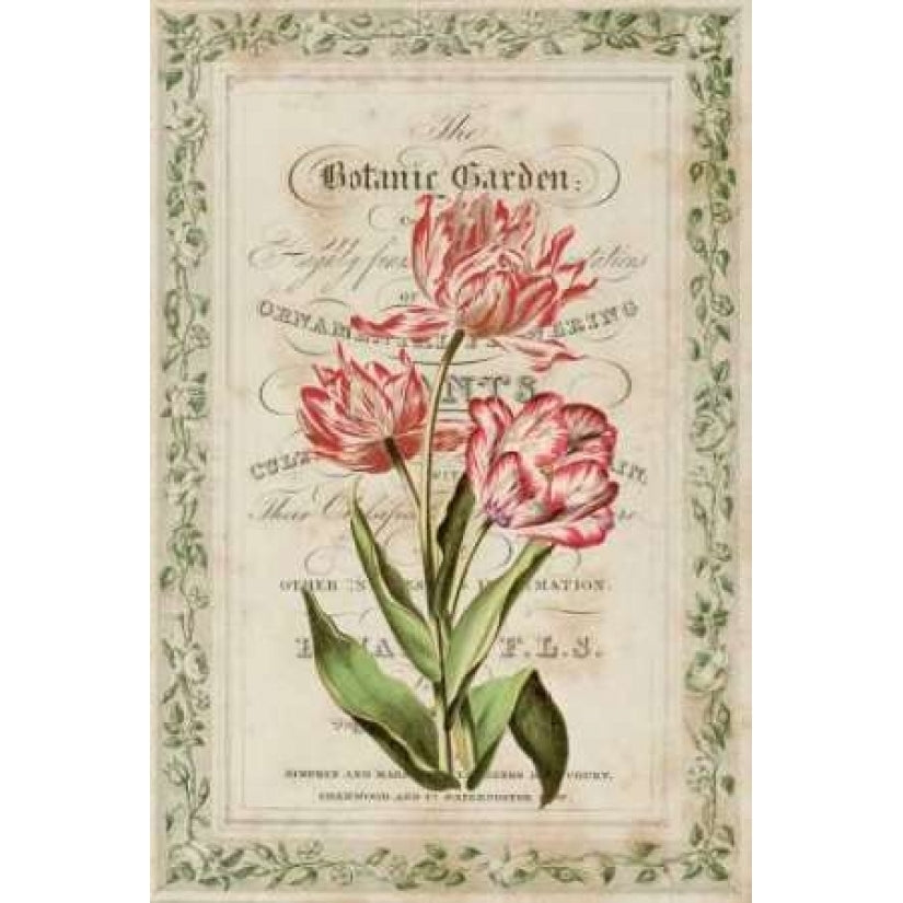 Botanic Garden Poster Print by Zachary Alexander-VARPDXCC2427 Image 1