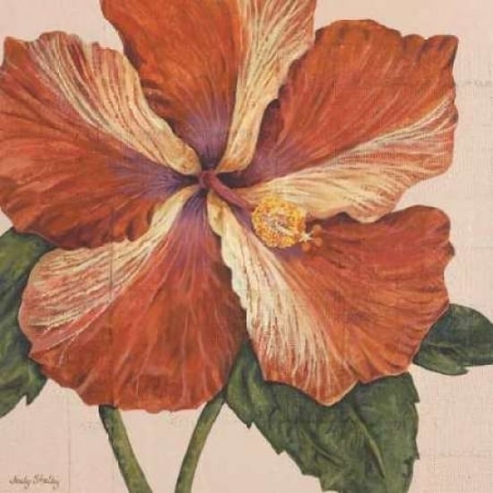 Island Hibiscus I Poster Print by Judy Shelby-VARPDXCC2429 Image 1