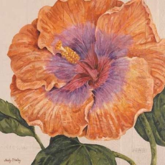 Island Hibiscus II Poster Print by Judy Shelby-VARPDXCC2430 Image 1