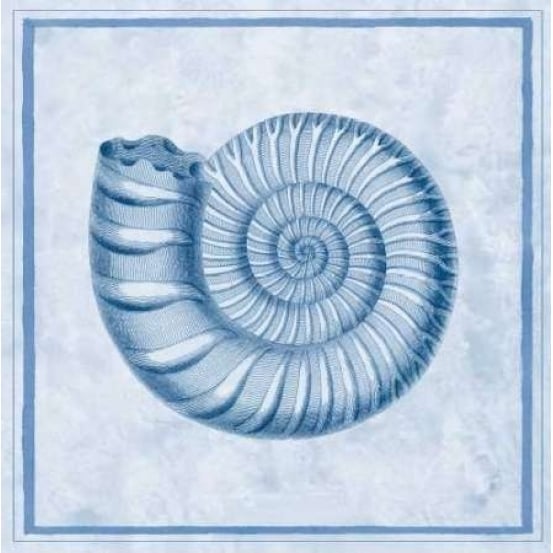 Blue Nautilus B Poster Print by Sarah E Chilton-VARPDXCC2493B Image 1