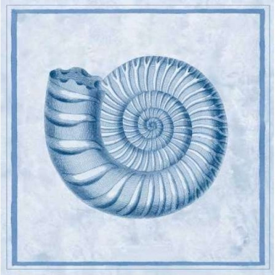 Blue Nautilus B Poster Print by Sarah E Chilton-VARPDXCC2493B Image 2