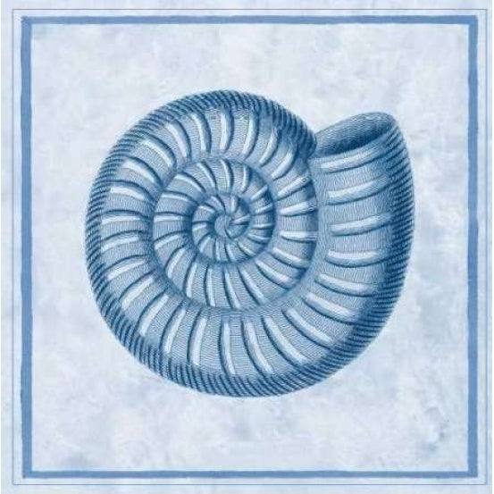 Blue Nautilus A Poster Print by Sarah E Chilton-VARPDXCC2493A Image 2