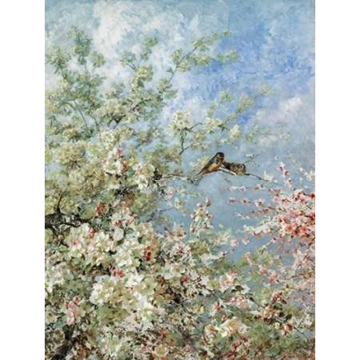 Apple Blossoms Poster Print by Olga Wisinger-Florian-VARPDXCC2740 Image 1