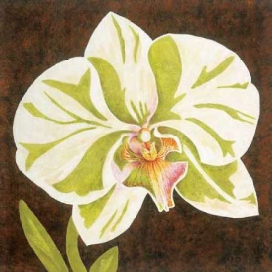 Surabaya Orchid Petites A Poster Print by Judy Shelby-VARPDXCC2983A Image 1