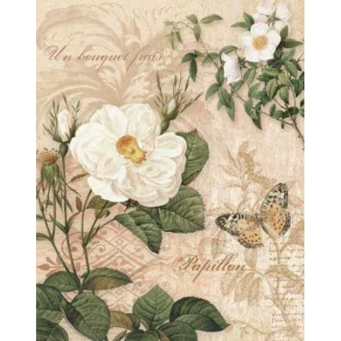 Gardeners Gift II Poster Print by Ching Han-VARPDXCC3058 Image 1