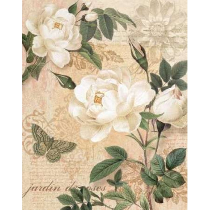 Gardeners Gift I Poster Print by Ching Han-VARPDXCC3057 Image 1