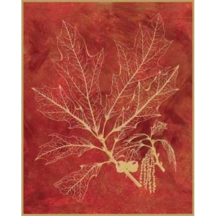 Golden Oak I Poster Print by Sarah E Chilton-VARPDXCC3178 Image 1