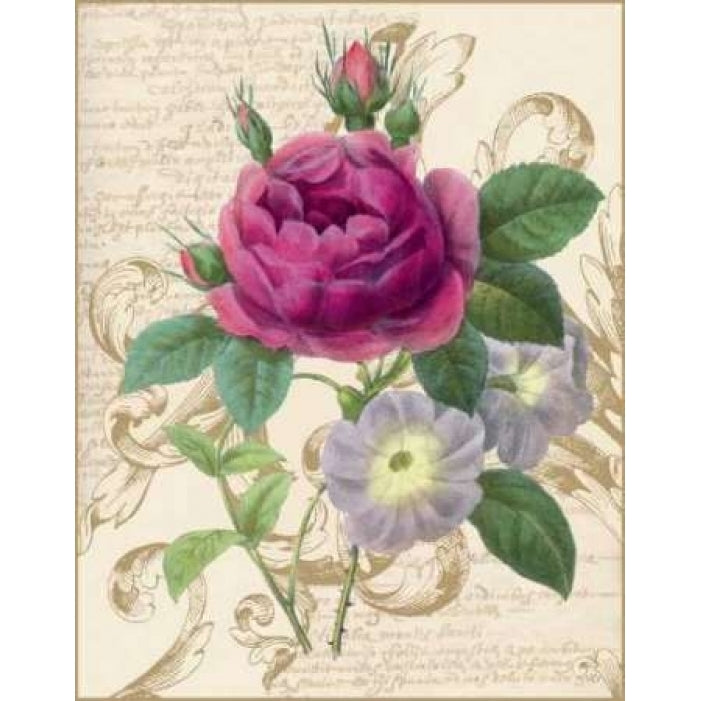 Bloomsbury II Poster Print by Lily Nicole-VARPDXCC3252 Image 2