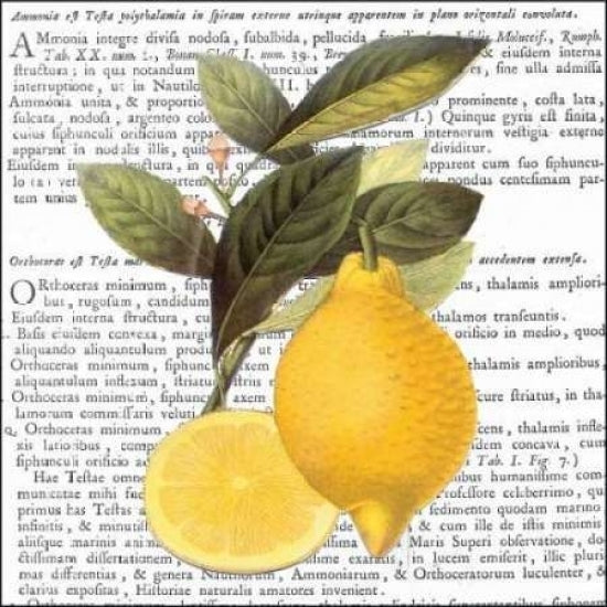 Citrus Edition I Poster Print by Cory Bannister-VARPDXCC3293 Image 1