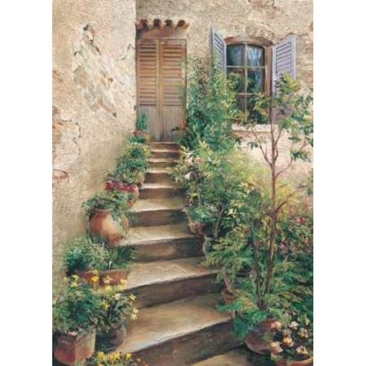 Stairway in Provence Poster Print by Roger Duvall-VARPDXCC719 Image 1