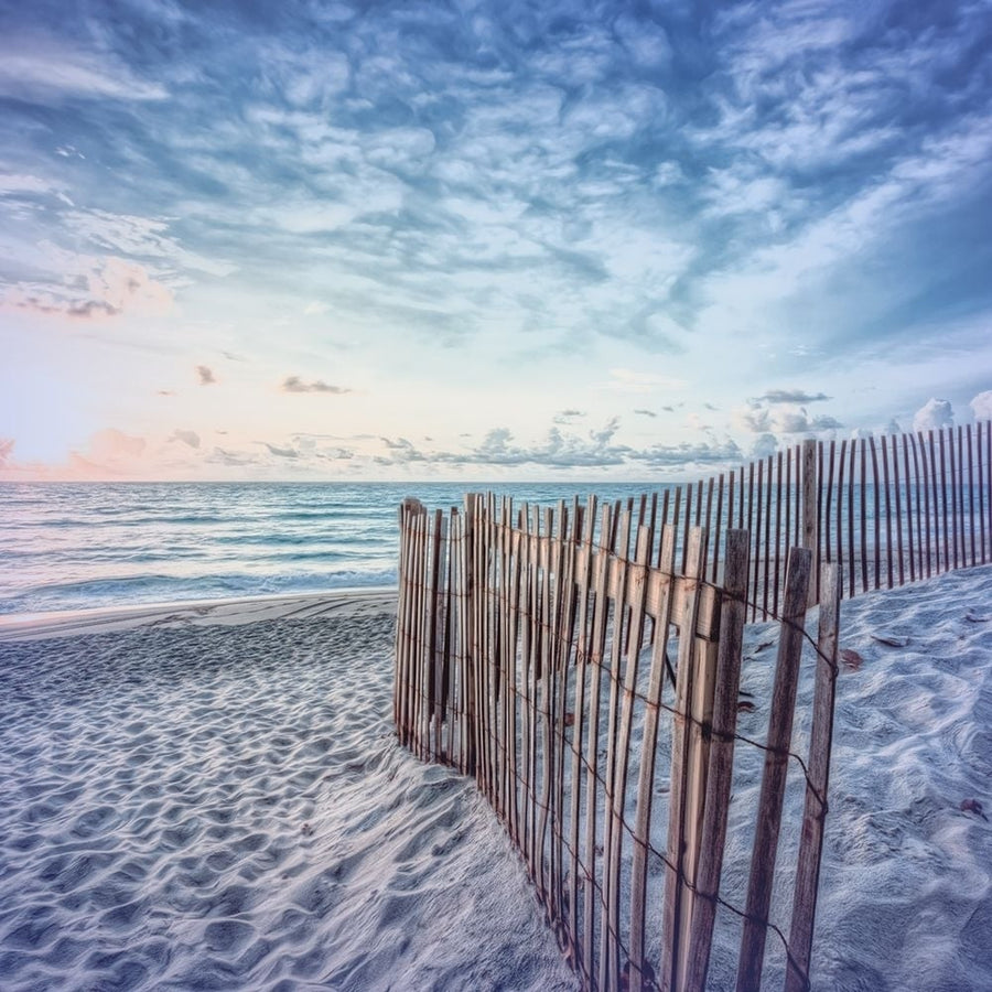 Daybreak on the Dunes Pale Blues in Square Poster Print - Life Gallery Celebrate-VARPDXCELLIF276445 Image 1