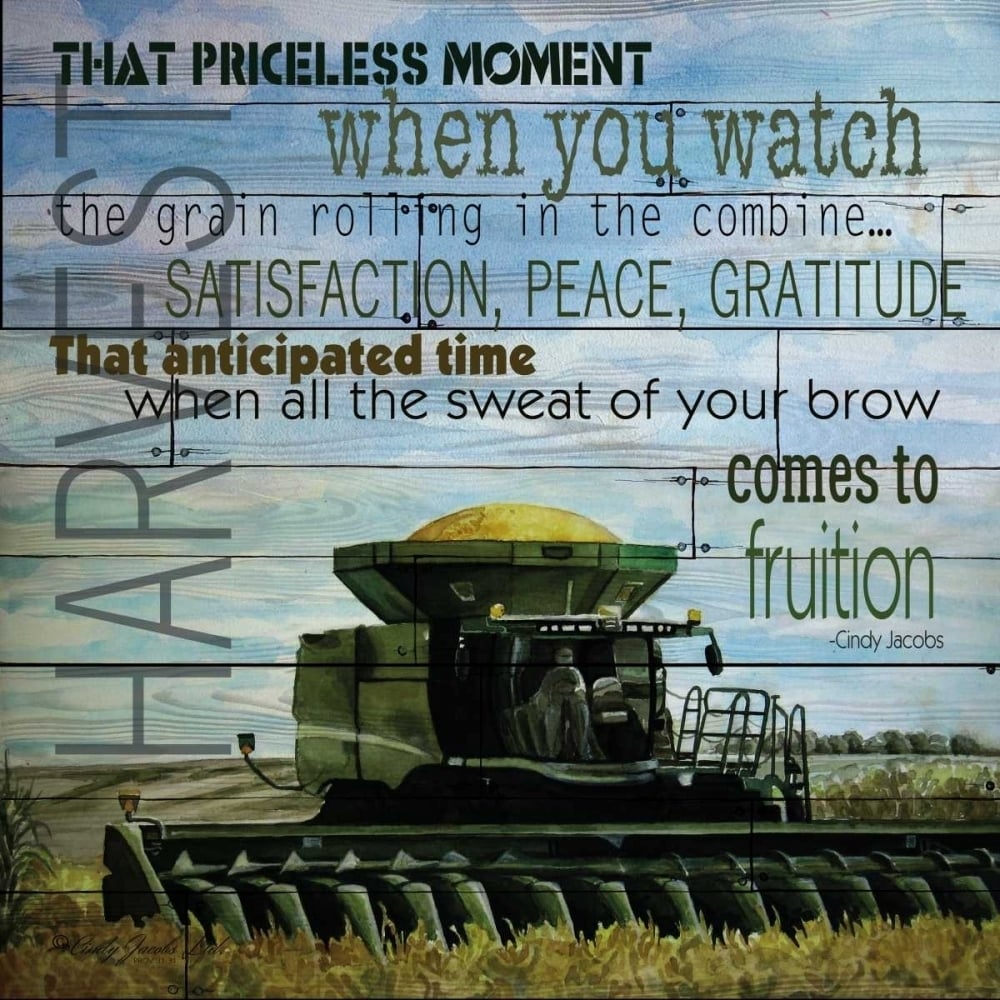 That Priceless Moment Poster Print by Cindy Jacobs-VARPDXCIN132 Image 1