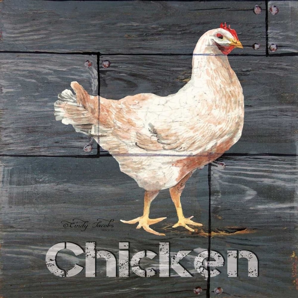 Chicken Poster Print by Cindy Jacobs-VARPDXCIN153 Image 1