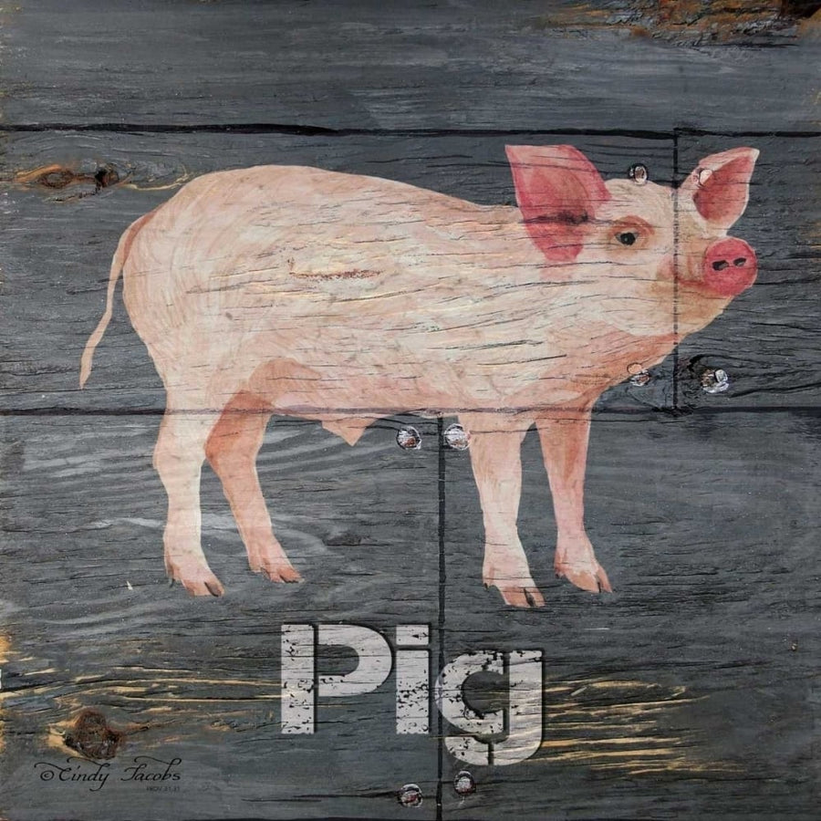 Pig Poster Print by Cindy Jacobs-VARPDXCIN155 Image 1