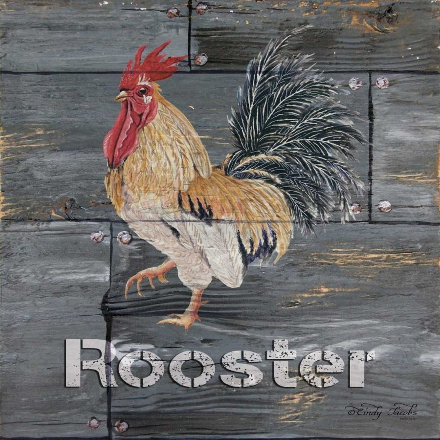 Rooster Poster Print by Cindy Jacobs-VARPDXCIN156 Image 1