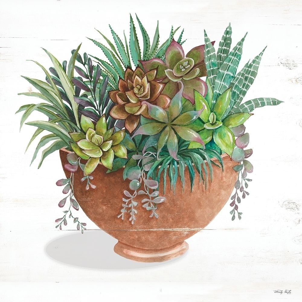 Terracotta Succulents II Poster Print by Cindy Jacobs-VARPDXCIN1900 Image 1