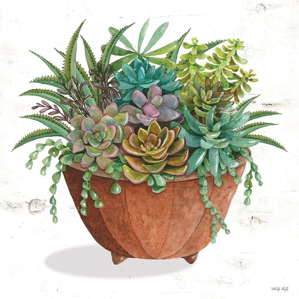 Terracotta Succulents I Poster Print by Cindy Jacobs-VARPDXCIN1899 Image 1