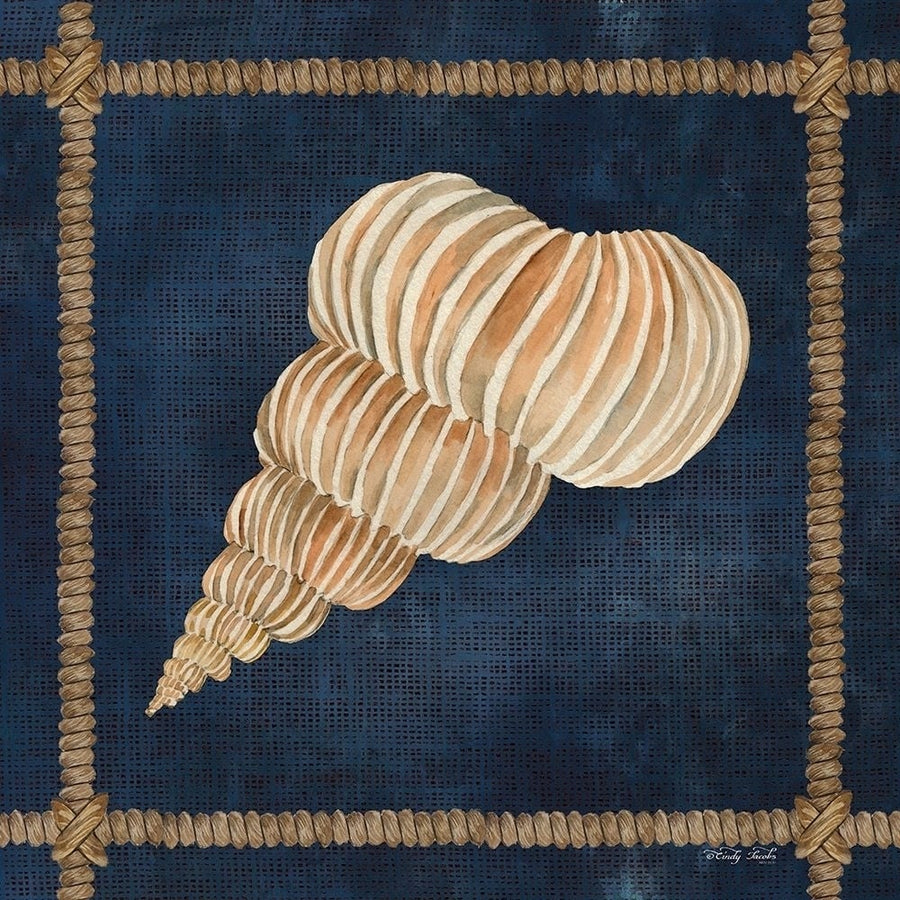 Seashell on Navy III Poster Print by Cindy Jacobs-VARPDXCIN2373 Image 1