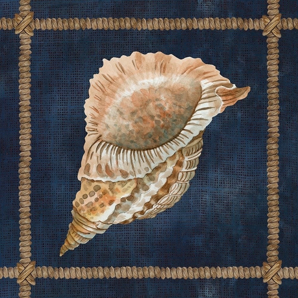 Seashell on Navy VI Poster Print by Cindy Jacobs-VARPDXCIN2376 Image 1